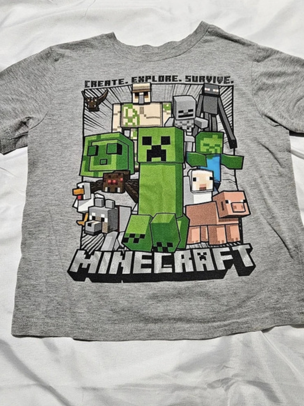 Official Minecraft Graphic Tee Size Small (Youth)